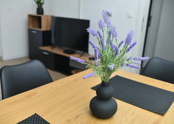 Apartman M46